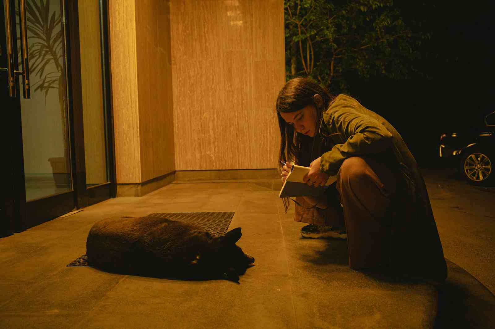 Заздалегідь підготовлені речі спрощують догляд за твариною під час вашої відсутності